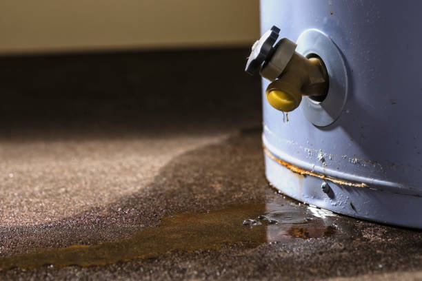 Best Water damage restoration mold remediation  in Alton, IA