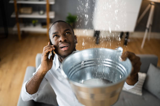 Best Flood damage cleanup  in Alton, IA