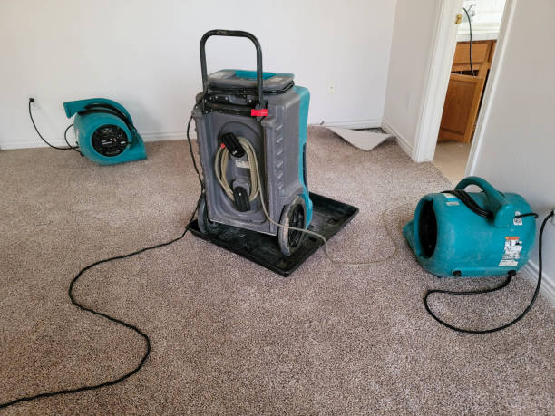 Best Flooded house restoration  in Alton, IA