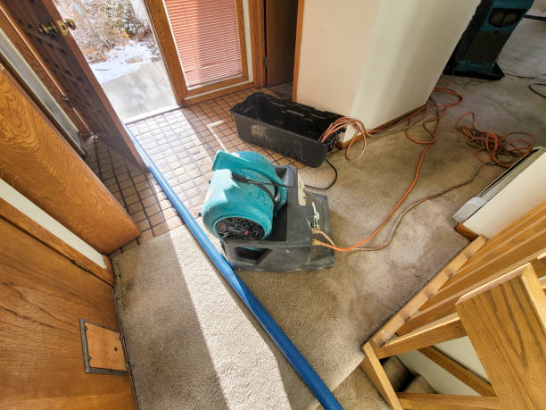 Professional Water damage restoration in Alton, IA