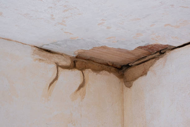 Best Local water damage restoration  in Alton, IA