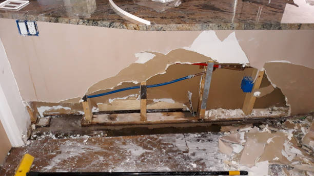 Best Water damage contractors near me  in Alton, IA