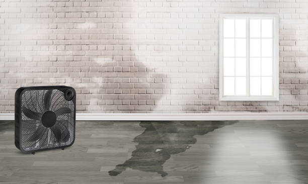 Water damage restoration mold remediation in Alton, IA