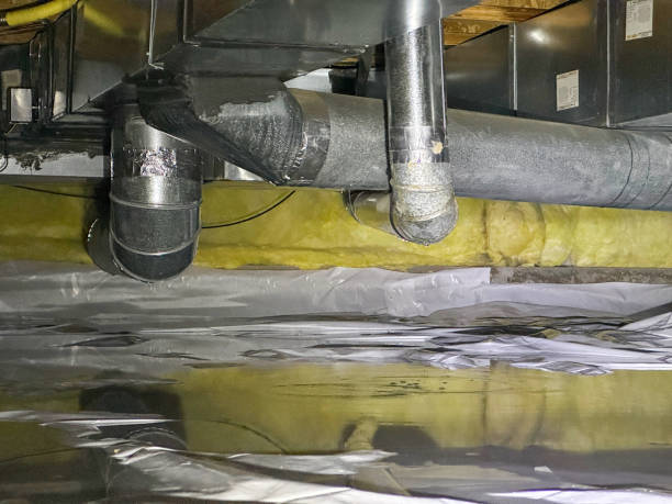 Best Basement water damage restoration  in Alton, IA