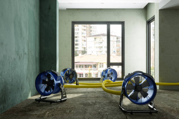 Best Emergency water damage restoration  in Alton, IA